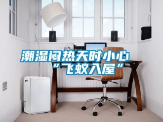 企業新聞潮濕悶熱天時小心“飛蟻入屋”