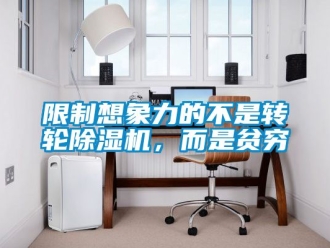 常見問題限制想象力的不是轉(zhuǎn)輪除濕機(jī)，而是貧窮