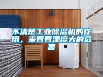 常見問題不清楚工業除濕機的作用，來看看濕度大的危害
