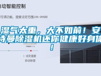 企業新聞濕氣太重，大不如前！安詩曼除濕機還你健康好身體！