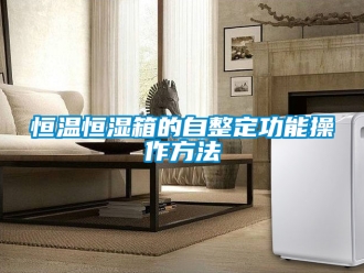 知識百科恒溫恒濕箱的自整定功能操作方法