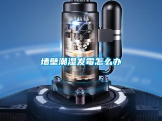 常見問題墻壁潮濕發霉怎么辦