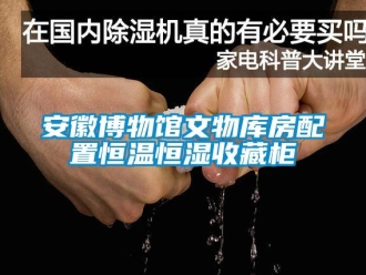 常見問題安徽博物館文物庫房配置恒溫恒濕收藏柜