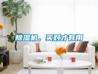 企業新聞除濕機，買對才有用