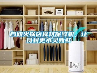 知識百科自助火鍋店食材保鮮機，讓食材更水靈新鮮