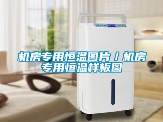 知識百科機房專用恒溫圖片／機房專用恒溫樣板圖
