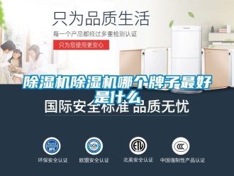 企業新聞除濕機除濕機哪個牌子最好是什么
