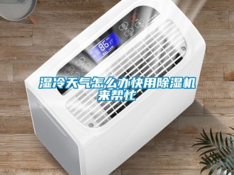 常見問題濕冷天氣怎么辦快用除濕機來幫忙