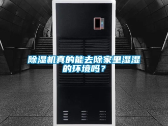 行業(yè)新聞除濕機(jī)真的能去除家里濕濕的環(huán)境嗎？