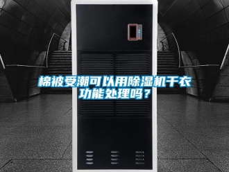 常見問題棉被受潮可以用除濕機(jī)干衣功能處理嗎？