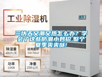 常見問題三伏天又潮又熱怎么辦？學會了這些防潮小妙招,整個夏季爽爽噠!