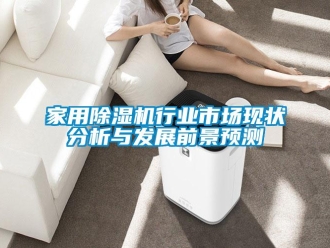 常見問題家用除濕機行業市場現狀分析與發展前景預測