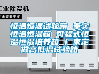 知識百科恒溫恒濕試驗箱 奉實恒溫恒濕箱 可程式恒溫恒濕培養(yǎng)箱 廠家定做高低溫試驗箱