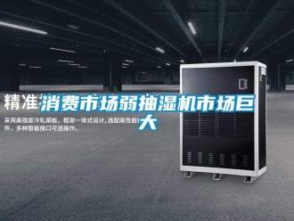 知識百科消費市場弱抽濕機市場巨大