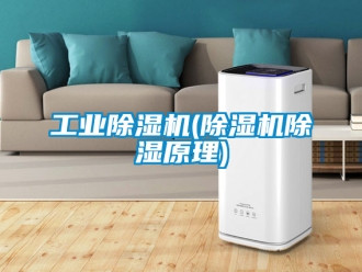 常見問題工業除濕機(除濕機除濕原理)