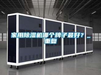 常見問題家用除濕機(jī)哪個牌子最好？_重復(fù)