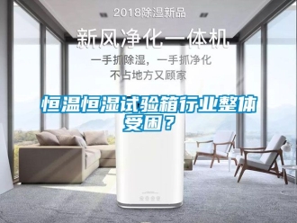 知識百科恒溫恒濕試驗箱行業(yè)整體受困？