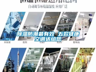企業(yè)新聞除濕防潮最有效 五款健康空調(diào)送給您