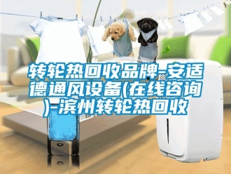 常見問題轉輪熱回收品牌-安適德通風設備(在線咨詢)-濱州轉輪熱回收