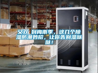 常見問題又雙叒到梅雨季，這幾個除濕防潮妙招，讓你告別濕噠噠！