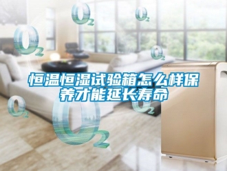 知識百科恒溫恒濕試驗箱怎么樣保養才能延長壽命