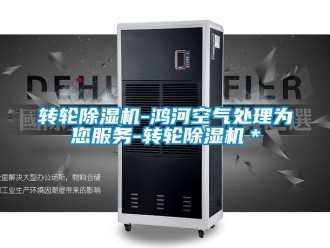 常見問題轉輪除濕機-鴻河空氣處理為您服務-轉輪除濕機＊