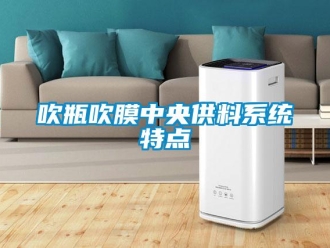 企業新聞吹瓶吹膜中央供料系統特點
