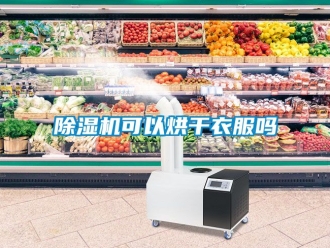 行業新聞除濕機可以烘干衣服嗎