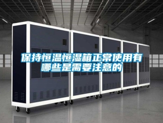 常見問題保持恒溫恒濕箱正常使用有哪些是需要注意的