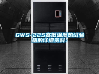 常見問題GWS-225高低溫濕熱試驗(yàn)箱的詳細(xì)資料：