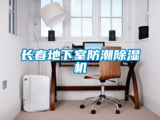 行業新聞長春地下室防潮除濕機