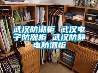 常見問題武漢防潮柜 武漢電子防潮柜 武漢防靜電防潮柜