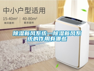 行業新聞除濕新風系統—除濕新風系統的作用有哪些