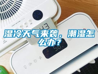 常見問題濕冷天氣來襲，潮濕怎么辦？