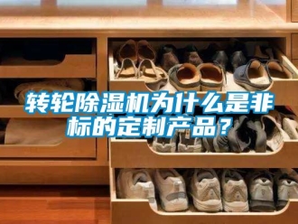 常見問題轉(zhuǎn)輪除濕機(jī)為什么是非標(biāo)的定制產(chǎn)品？