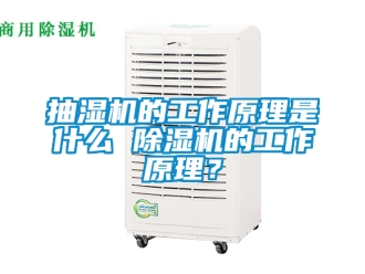 企業(yè)新聞抽濕機(jī)的工作原理是什么 除濕機(jī)的工作原理？