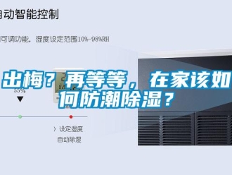常見問題出梅？再等等，在家該如何防潮除濕？