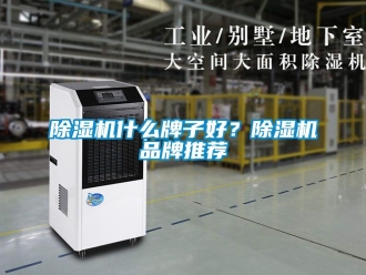 企業新聞除濕機什么牌子好？除濕機品牌推薦