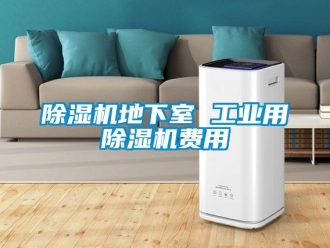 常見問題除濕機地下室 工業用除濕機費用