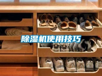 企業新聞除濕機使用技巧