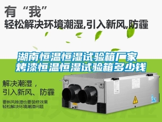 知識(shí)百科湖南恒溫恒濕試驗(yàn)箱廠家 烤漆恒溫恒濕試驗(yàn)箱多少錢
