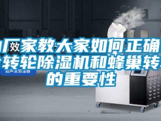 常見問題由廠家教大家如何正確區分轉輪除濕機和蜂巢轉輪的重要性