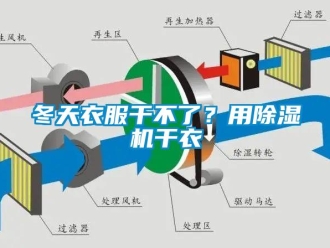 企業新聞冬天衣服干不了？用除濕機干衣