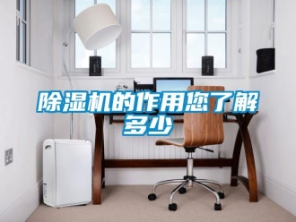 企業新聞除濕機的作用您了解多少