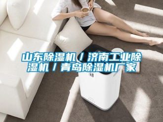 企業(yè)新聞山東除濕機(jī)／濟(jì)南工業(yè)除濕機(jī)／青島除濕機(jī)廠家