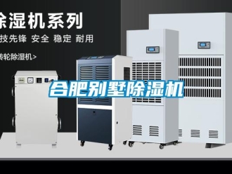 行業(yè)新聞合肥別墅除濕機(jī)