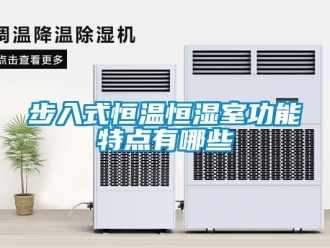 知識百科步入式恒溫恒濕室功能特點有哪些