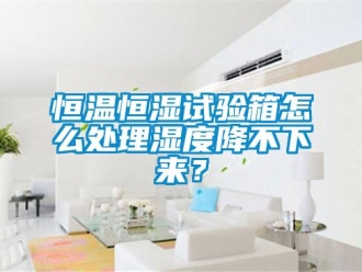 知識百科恒溫恒濕試驗箱怎么處理濕度降不下來？