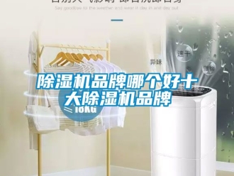 企業新聞除濕機品牌哪個好十大除濕機品牌