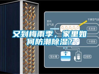 常見問題又到梅雨季，家里如何防潮除濕？